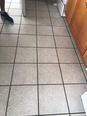 Filthy kitchen floor