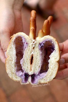 Inside of Moose ($2.75) - bread filled w/ blueberry cream cheese. Good, not too sweet! Filling has strong blueberry flavor