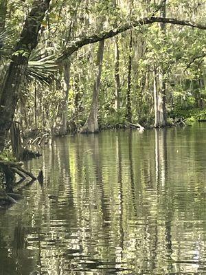 The Dora Canal...like taking a step back in time.