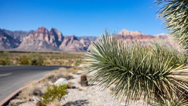 Red Rock Canyon Visitor Center