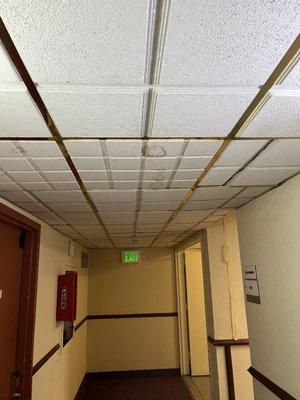 Old musty ceilings with leaks