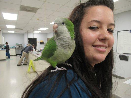 Jessica and one of Dr. Geaudry's patients, Kiwi.