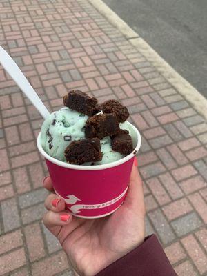 Mint chocolate chip ice cream w/ brownie