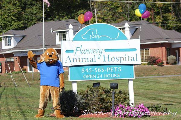 Welcome to VCA Flannery Animal Hospital!