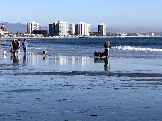 The surf @ Breakers Beach, Coronado, CA.