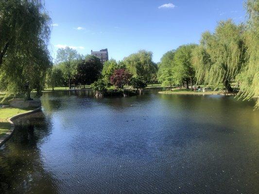 Boston Public Gardens