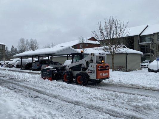 Day after snow storm, they were on it!