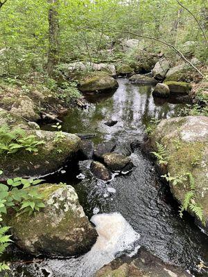 A tranquil brook