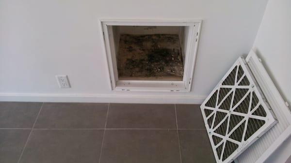 Mold hidden in HVAC duct is serious.