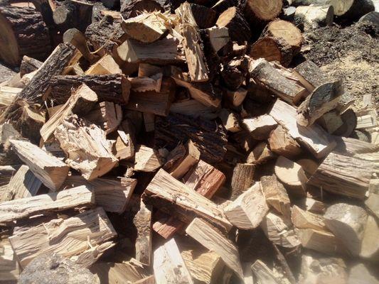 All About Firewood