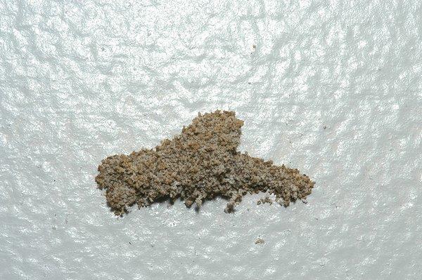 Termite Swarm Castle on Sheetrock