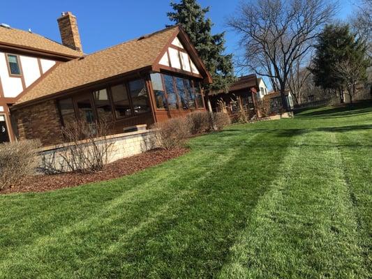 Timber Wolf Landscaping