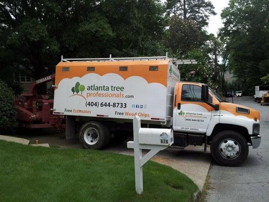 Tree removal Atlanta from Atlanta Tree Professionals