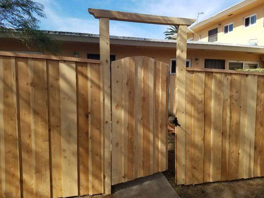 Cedar Fence