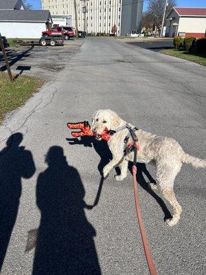 Waggin’ Trains