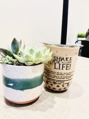 Brown Sugar Milk Tea