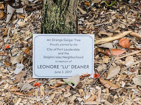 Lu Deaner Park