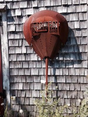 Look for the Horseshoe Crab!