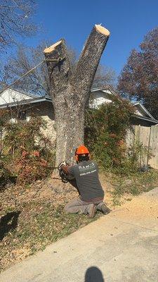 Tree services available 210-275-0977