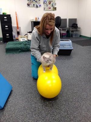 We offer animal rehabilitation programs!