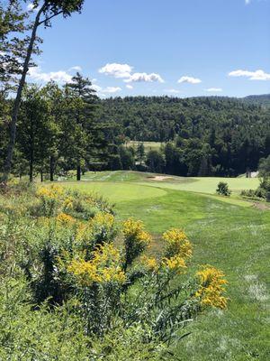 Montcalm Golf Club views