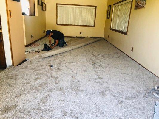 Omar putting down "Fawn Carpet" Thank you! Omar pays attention to Details!