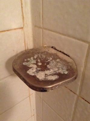 Moldy soap holder in the shower. So disgusting!