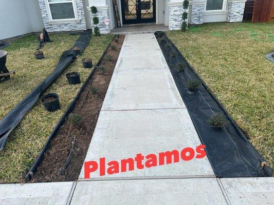 Nolasco’s Lawn Maintenances