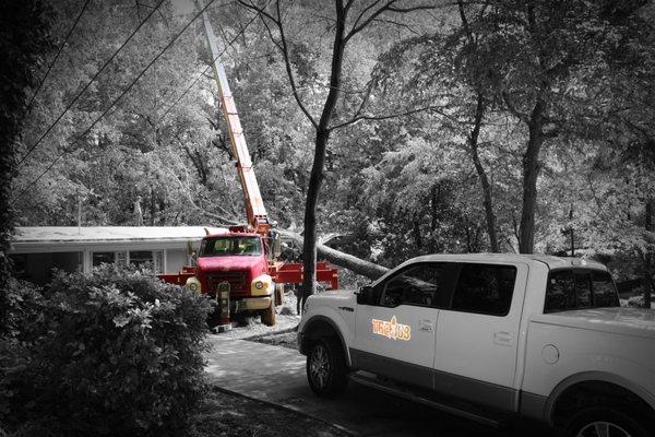 TreeJob cleaning up a large tree that fell on a home off Moores Mill in Atlanta Ga after a storm.