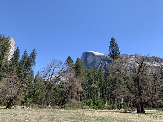 Yosemite Breakfast. Stopped at Tangled Hearts on our way to Yosemite.