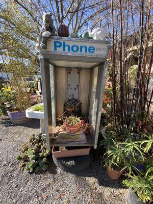 Plants in phone booth