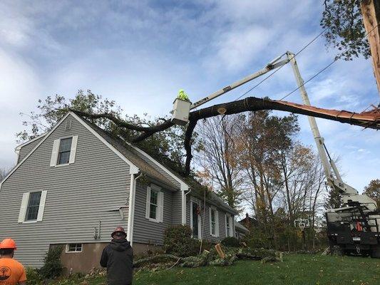 E.C. Tree cleaning up after storm damage!