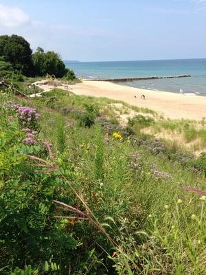 Atwater beach and bluff stabilization