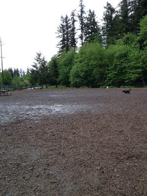 After some rain you get the park to yourself. Just wear boots and bring a towel.