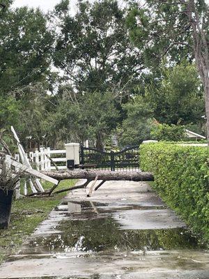 Heights Tree Service