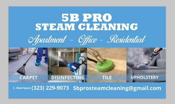 5B Pro Steam Cleaning