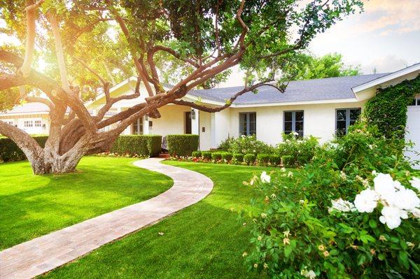 Customized Tree and Plant Maintenance Programs