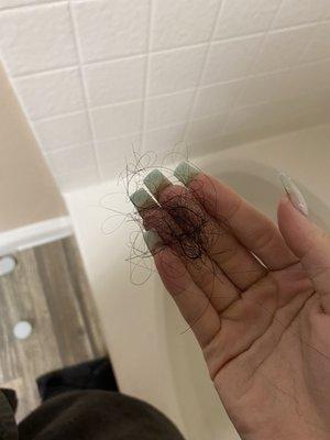 Hair shedding after 1 wash