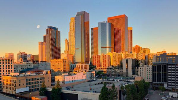 The Rehabilitation Center of Los Angeles