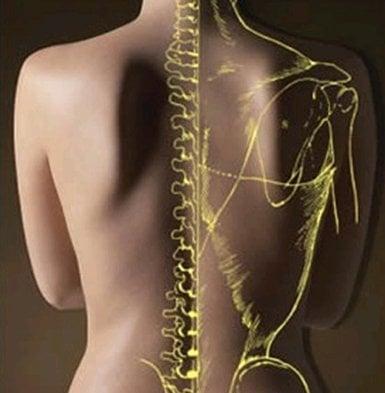 Spine health is crucial for daily function