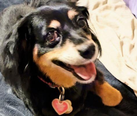 Her big, beautiful smile!  Boy, I know she loved the visit!  I, of all people, can tell.