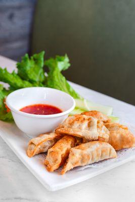 Pork & Vegetables Dumplings