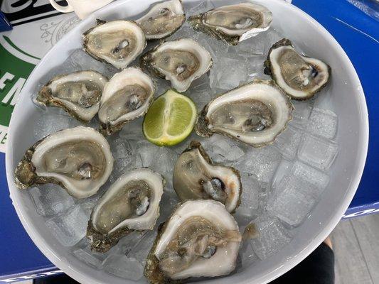 Oysters