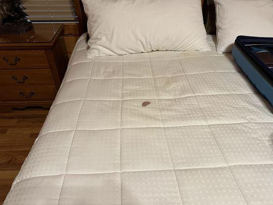 Dried blood stain on mattress pad.