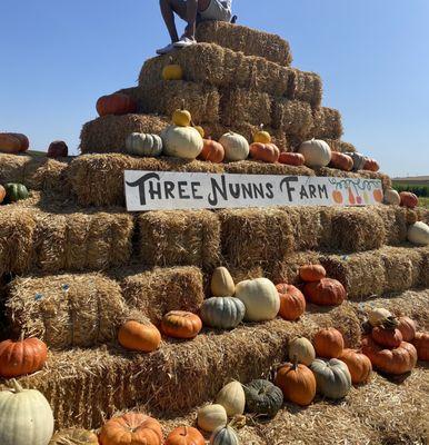 Hay bundle, perfect for photo ops. Varieties of pumpkins to chose from. Located at back of the pumpkin patch with paid tractor ride