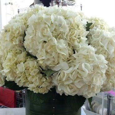 Vera Wang Arrangement