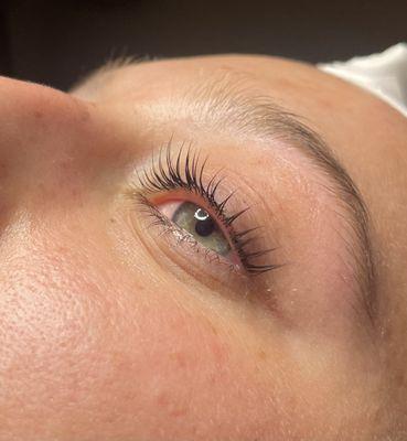 Lash Lift and Tint