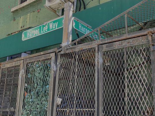 I was fascinated by the street sign Harper Lee Way! 05/07/23