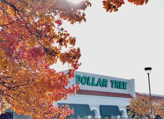 Dollar Tree