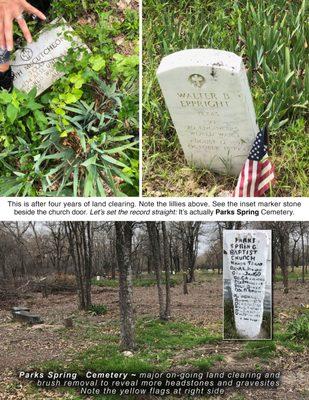 Small sample of the hundred of graves throughout the clearings.